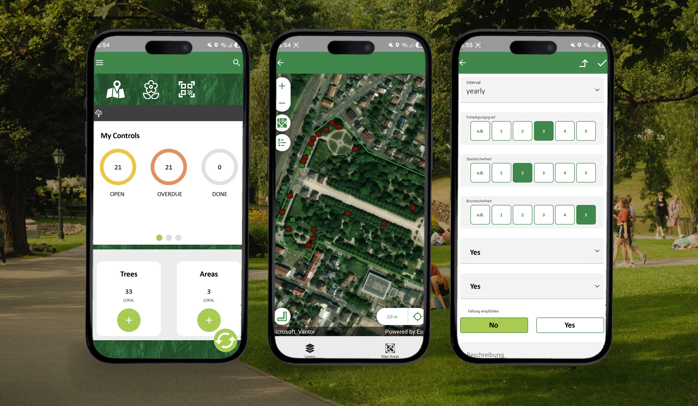 VertiGIS Blog -Posts Archive - The Tree Inspector in Your Pocket: Meeting Public Safety Requirements with a Mobile App